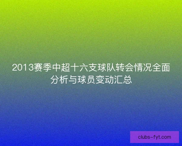 2013赛季中超十六支球队转会情况全面分析与球员变动汇总